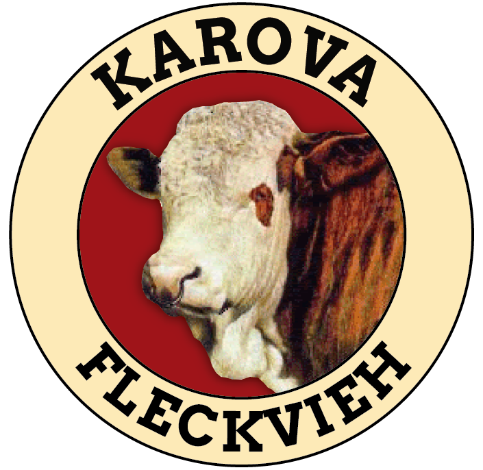Karova Fleckvieh
